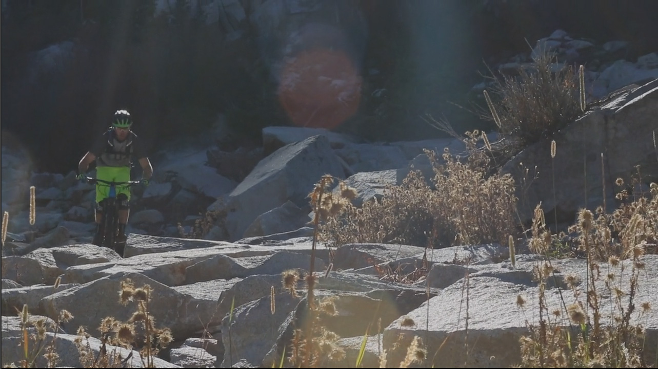 Logan Whitehead - That Loamy Feeling
