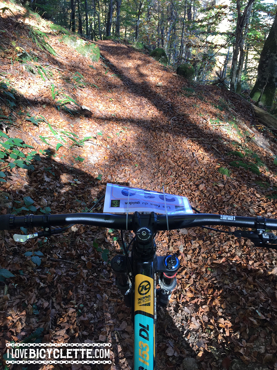 C'est parti pour une bonne tranche de descente en sous-bois