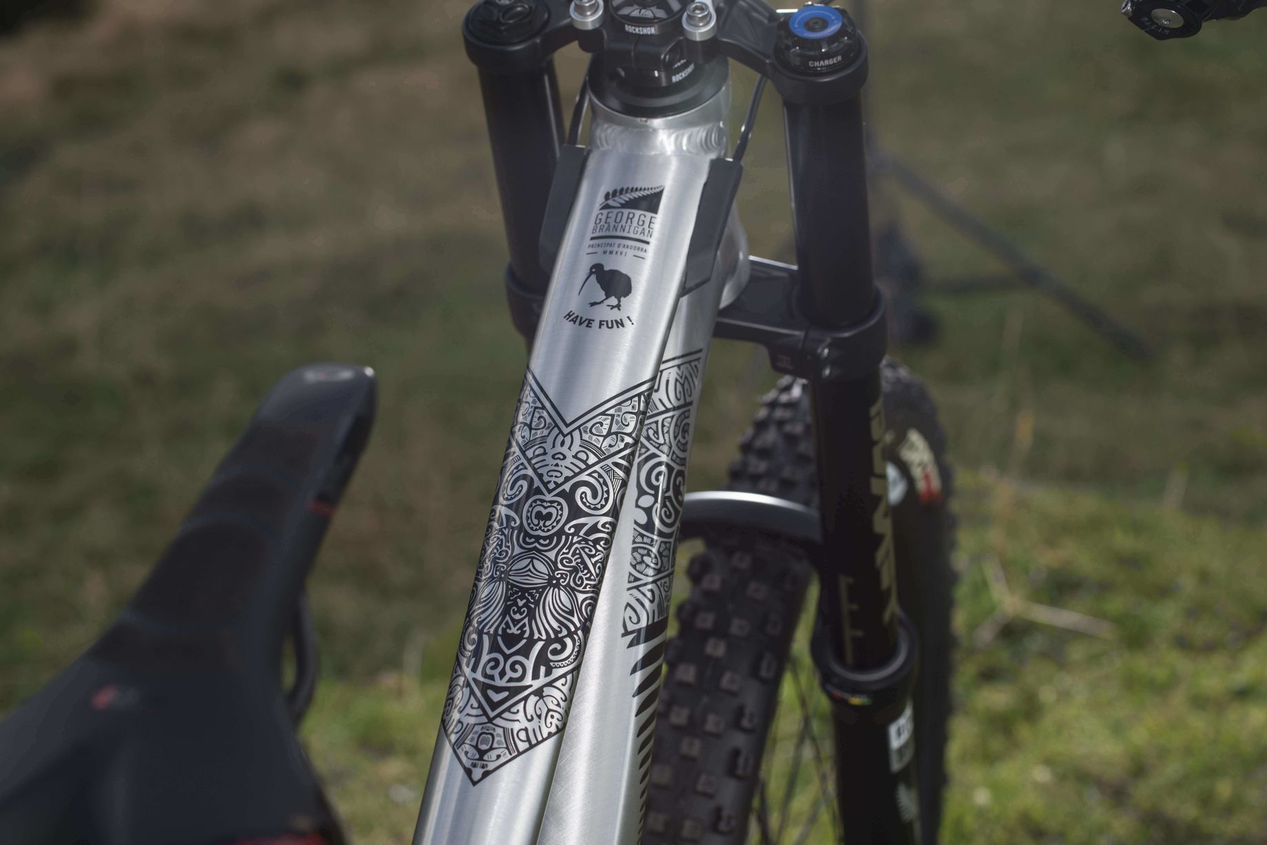 Commençal Supreme DH v4