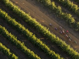 Absa Cape Epic 2016 Etape 1 – Tulbagh